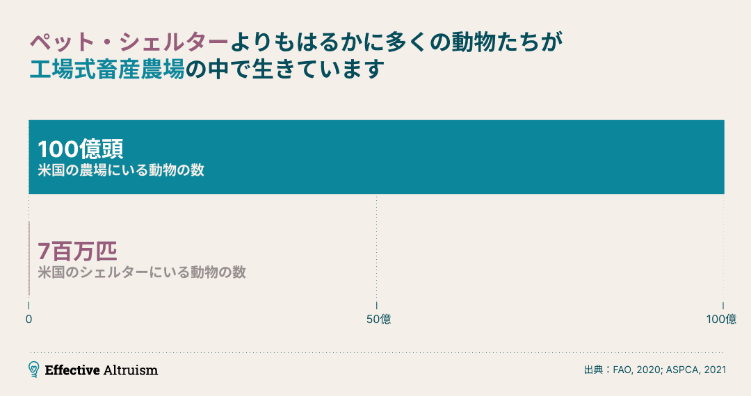 画像には、『ペットシェルターよりも、はるかに多くの動物が工場農場を通過する』というキャプションがあり、2つの数字が書かれた棒グラフが表示されている：米国の農場には100億頭の動物がいる」と「米国のシェルターには700万頭の動物がいる」という2つの数字が棒グラフで表示され、2つの数字の間に大きな格差があることを強調している。